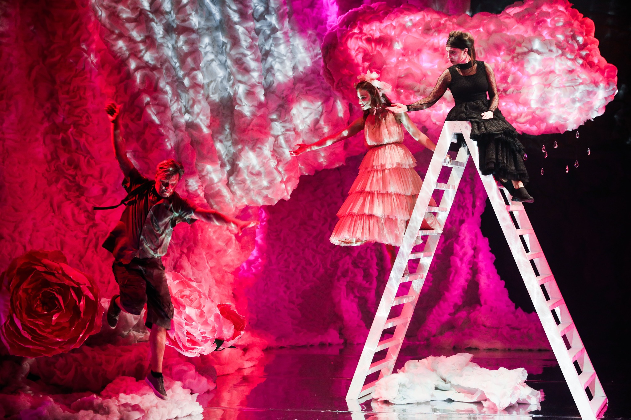 Skats no draugu meklējuma vienā daļā