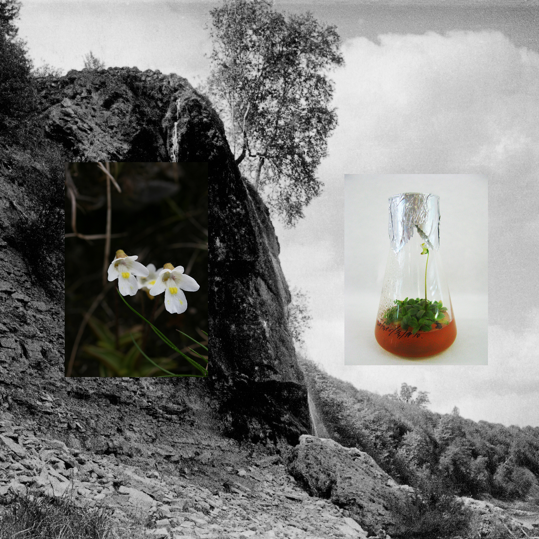 Staburags un Alpu kreimule. Foto – Dace Kļaviņa