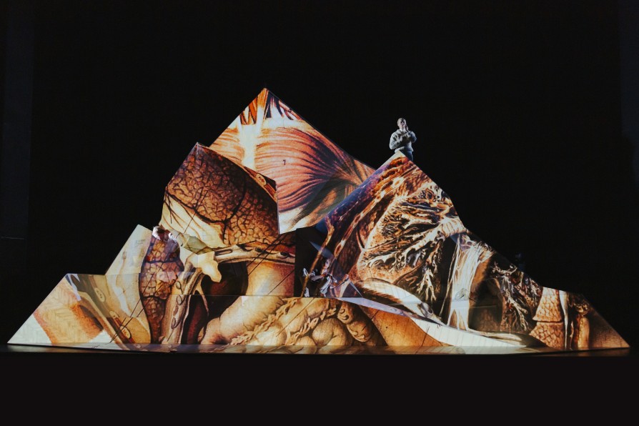 Skats no Vīnes Burgtheater izrādes 