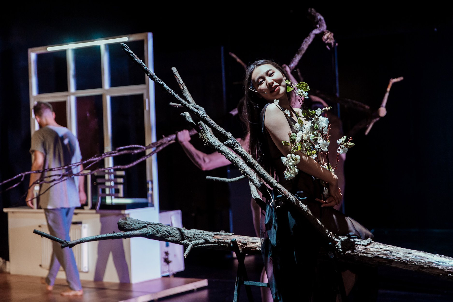 Skats no K.Serebreņņikova izrādes 