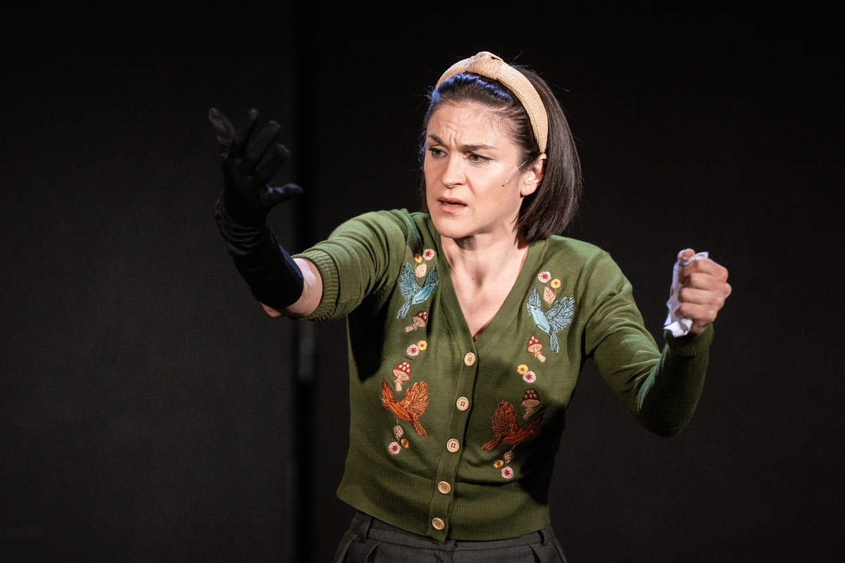 Skats no Ilzes Ķuzules-Skrastiņas monoizrādes 