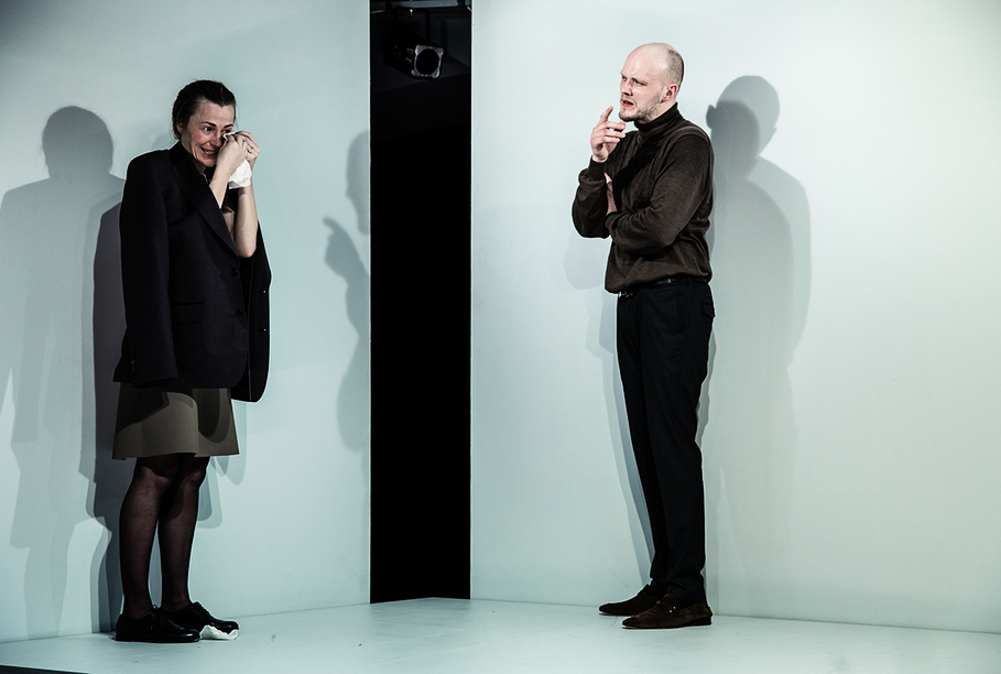 Skats no Nacionālā teātra izrādes