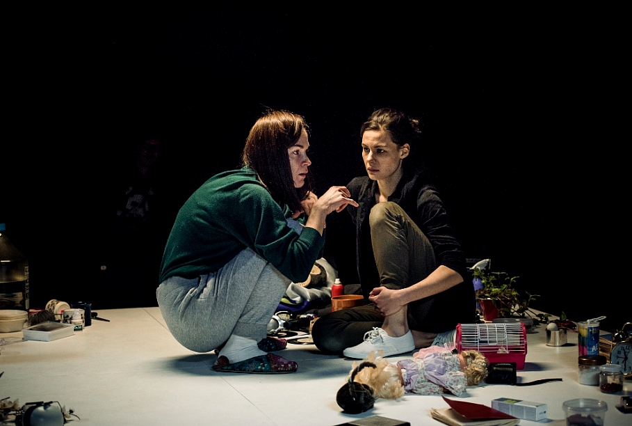 Skats no DT izrādes 